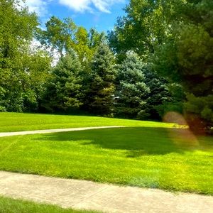 Meet your Posher, Sophie